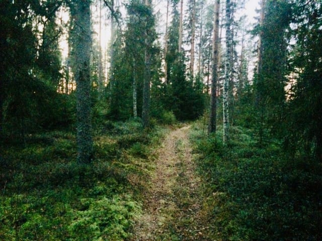 Elämää suuremmat oivalluksesi löytyy sisältäsi, ei tuolta jostain.