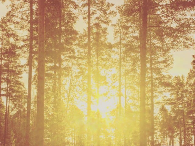 Kun elämässä joutuu liiaksi taistelemaan yksin, ei välttämättä näe kaikkea sitä hyvää mitä elämässä oikeasti on.