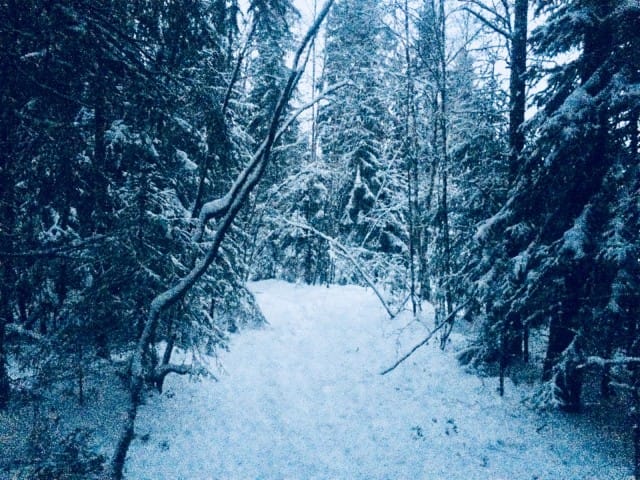 ”Etsivä löytää. Anova saa ja jokaiselle, joka kolkuttaa, avataan.”
