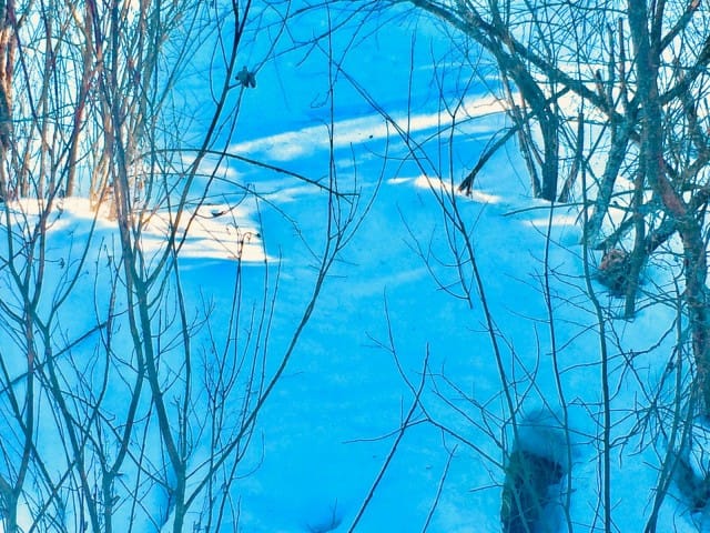 Jos jostain olen elämälle kiitollinen, niin siitä että se on runtannut minut läpi sellaisten ryteiköiden, että siinä on suurimmat pelot karisseet.