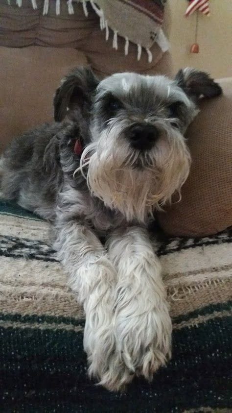 tennesseen tuttavuus