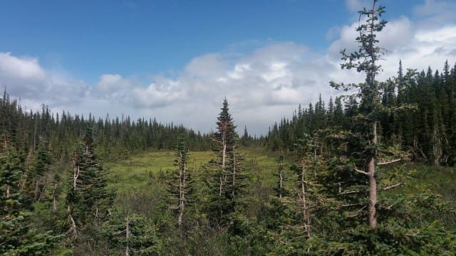 täähän on aika kotoisaa