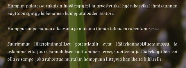 Hamppusampo luottaa hamppubisneksen tulevaisuuteen.