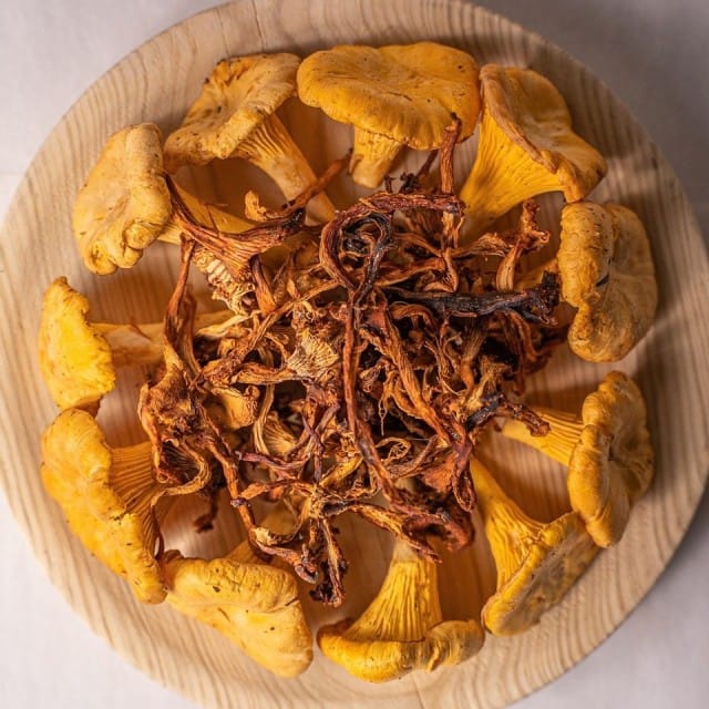 Talven varalle on säilötty kantarelleja ja muita sieniä.