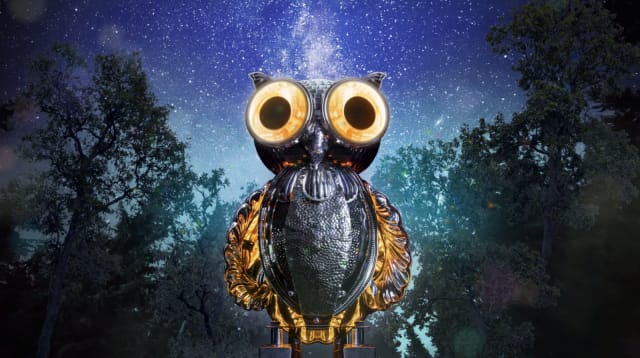 Peilipöllö (Bubo Speculus)