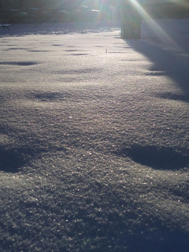 Kyllä se lumi sieltä vielä tulee. Viimeistään vuoden sisään.