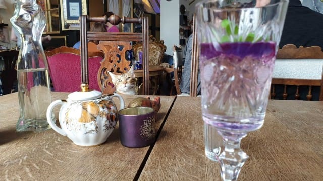 Saimme seuraa heti alkumaljoja kilistellessämme