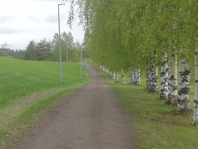 Polku jota tässä hetkessä askellan, on juuri se missä minun kuuluukin askeltaa.