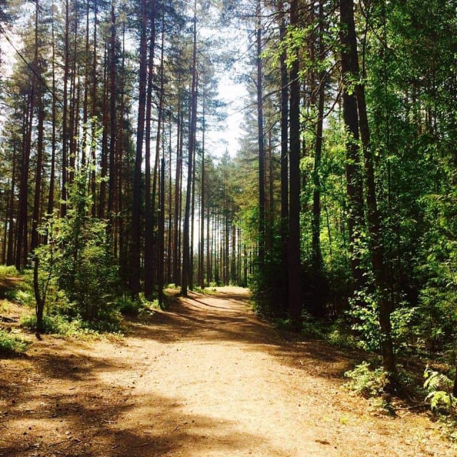 Kun elämä kuormittaa, on tärkeä osata tunnistaa omat rajansa.
