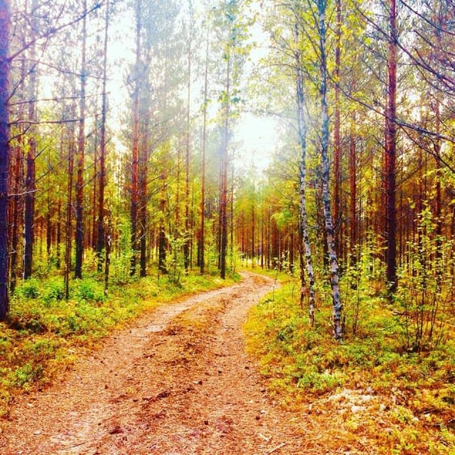 Se missä olet huomenna, määrittyy siitä mihin suuntaan otat askeleita juuri nyt.