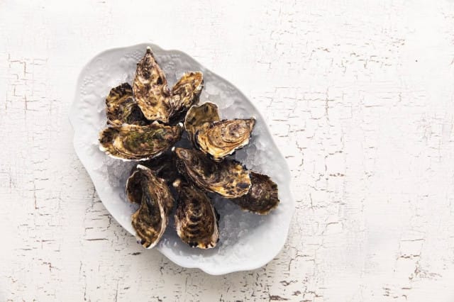 Osterit valtaavat Sue Ellenin lokakuun alussa.