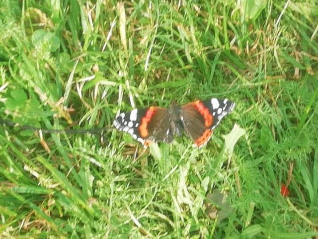 Sinä riität. Olet arvokas. Juuri sellaisena kuin olet. Ainutlaatuinen.