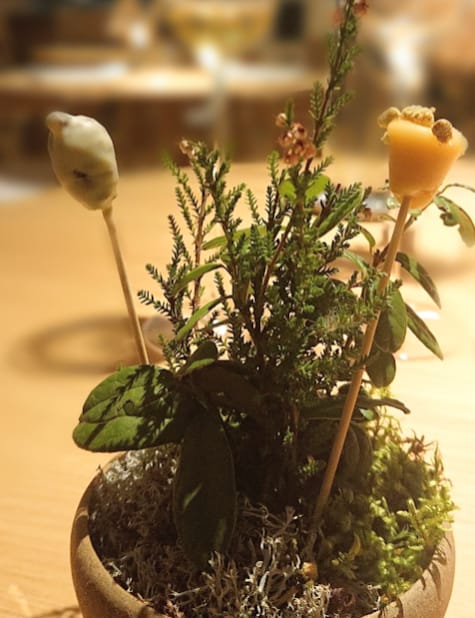 Tässä vielä aterian käpy lopetus