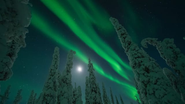 Finnjävel Aistit -illallisella nähdään valokuvaaja Riku Karjalaisen vaikuttavia kuvia ja videoita suomalaisesta luonnosta. Aistit-elämyksen taidealkupaloista vastaa Helsingin Taidehalli.