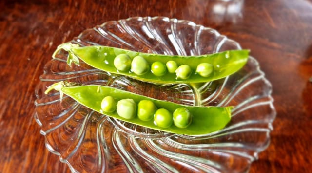 Lähdön yhteydessä saimme vielä lopuksi ilahduttavasti herneitä sametinkukkaliemessä