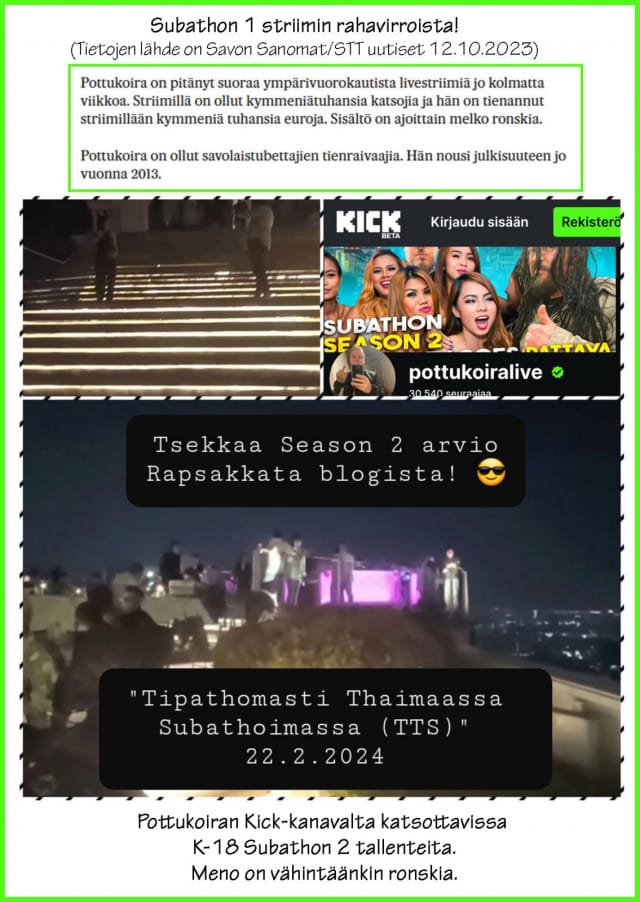 Uusi elin-keino alue some-yrittäjille?