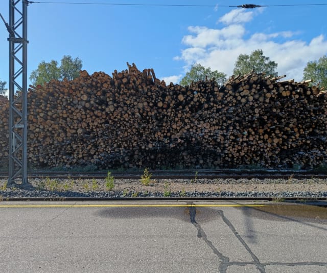 Salon juna-asema syksyllä 2024.