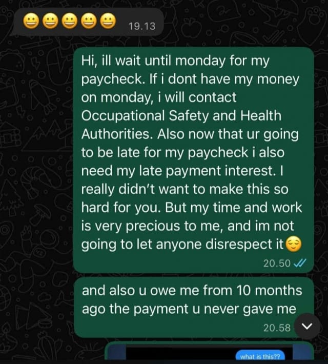 Kuvakaappaus Demin ja työnantajan välisestä viestiketjusta.