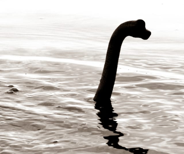 Kuvituskuva. Kuvan eläin saattaa olla Loch Nessistä tai sitten se ei ole.