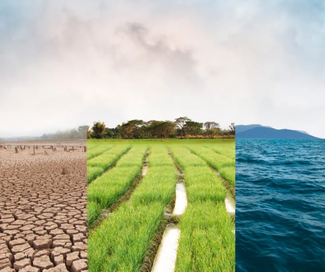 Huumeongelma ei näy pelkästään viikonlopun viemärivesissä, vaan vaikuttaa kokonaisvaltaisesti luonnon tasapainoon.