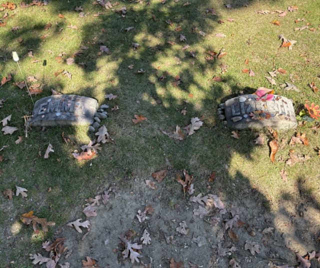 Lizzien ja hänen lapsena kuolleen Emma-siskonsa haudat.