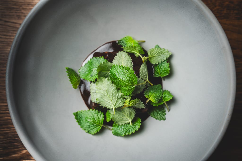 Jälkiruoka lautasella, päällä tuoreita yrtinlehtiä ja tummaa kastiketta.