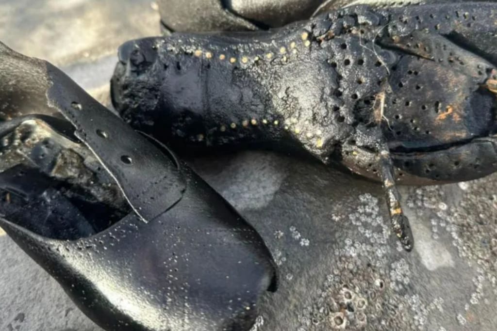 Vanhoja nahkakenkiä jotka ovat huuhtoutuneet rantaan. Kengät ovat viktoriaaniselta ajalta ja näyttävät hyväkuntoisilta ottaen huomioon kenkien iän ja meriveden suolaisuuden.