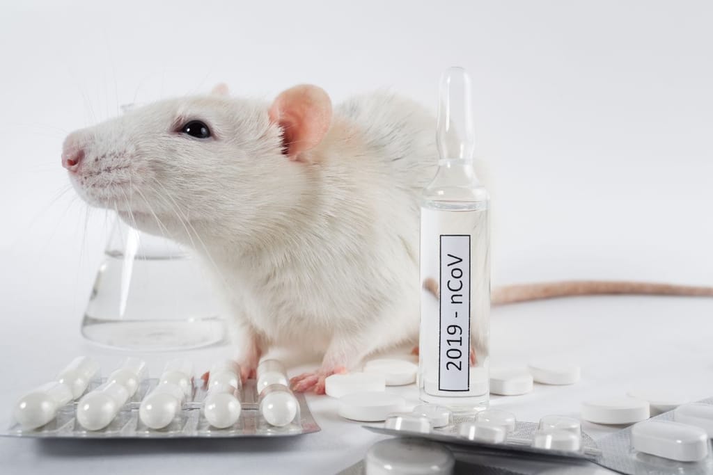 Koehiiri punaiset silmät ja valkoinen turkki. Kuvituskuva