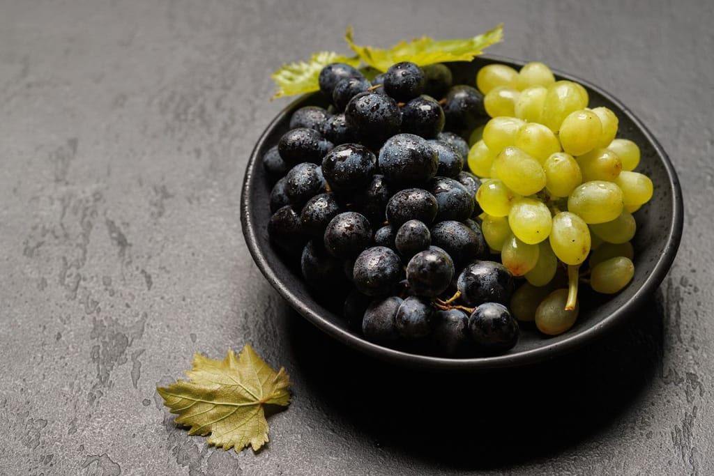 Viinirypäleitä astiassa vaaleita ja tummia rypäleitä. Molemmat on yhtä vaarallisia lemmikeille. 