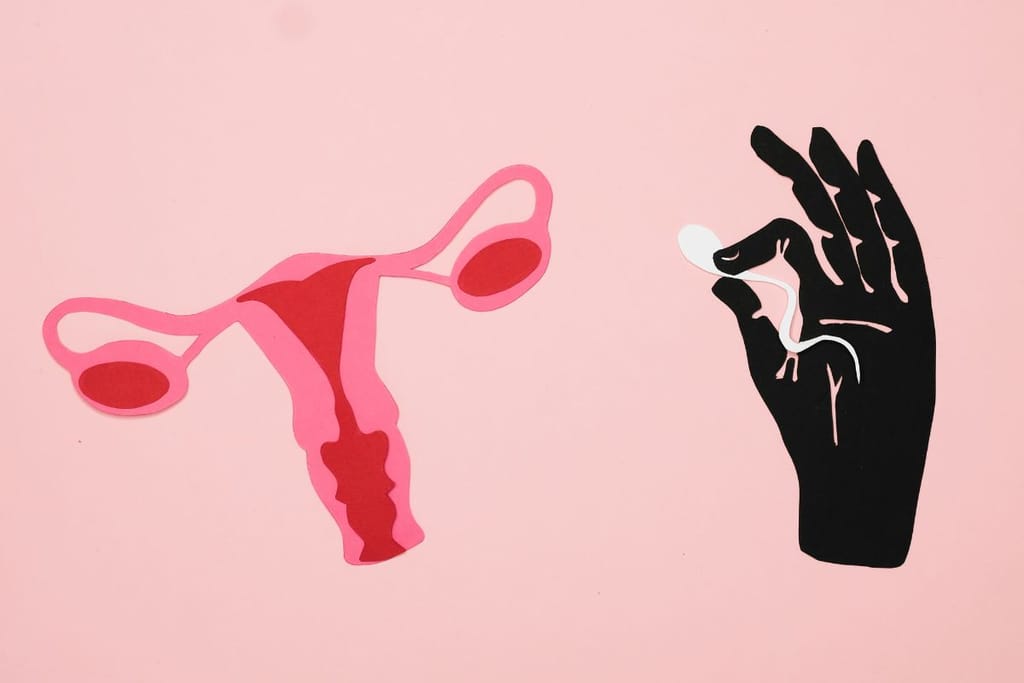 Piirroskuva kohtuelimestä ja kädestä, joka pitää siittiötä sormissaan vaaleanpunaisella taustalla.