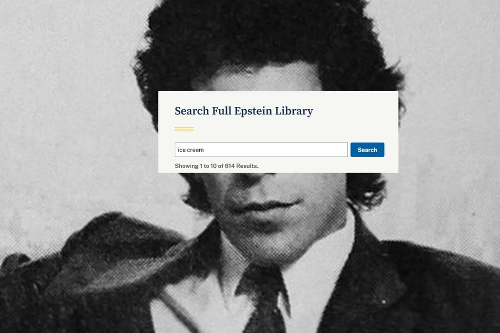 Mustavalkoisen henkilökuvan päälle on liimattu poptaiteellisesti kuvankaappaus. Kuvankaappauksessa lukee "Search full Epstein Librarry" sekä hakusanana "ice cream".