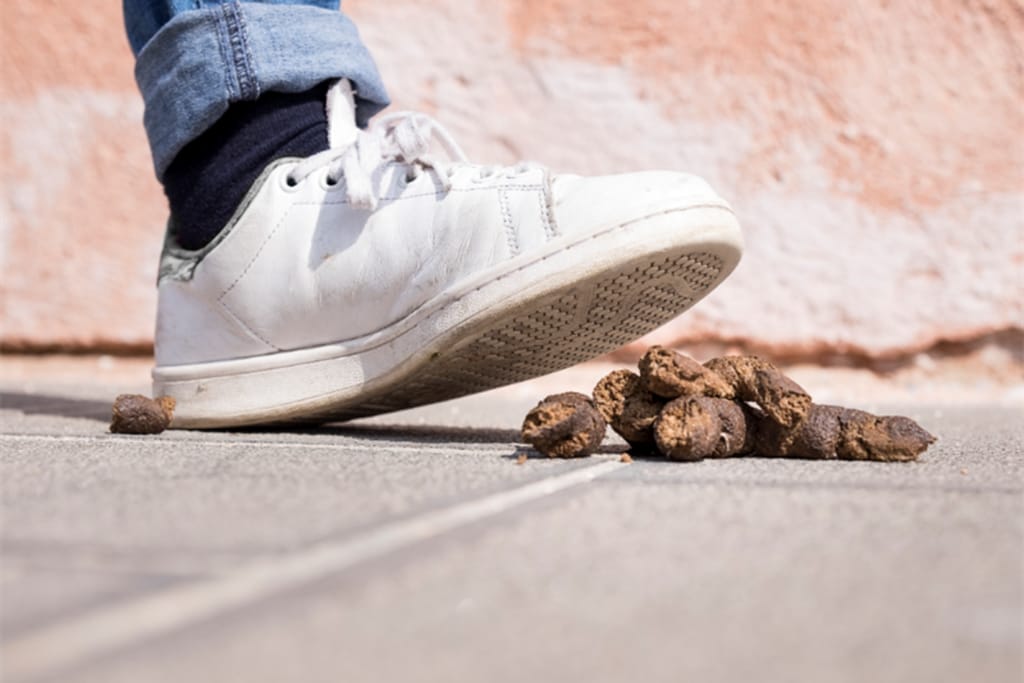 Koiran kakat tiellä, valkoinen kenkä astumassa päälle.