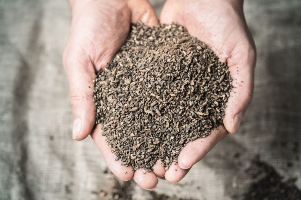 Ruismaltaita kämmenissä.