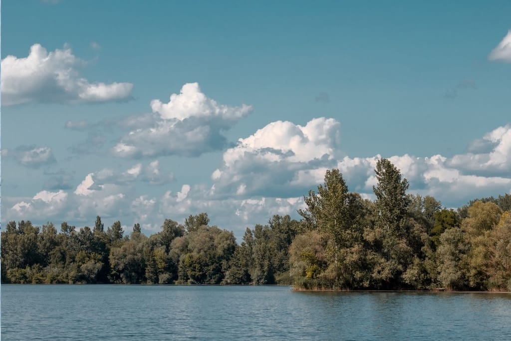 Ruotsalainen järvimaisema, jossa tutkitaan huumejäämien vaikutuksia vesistöihin