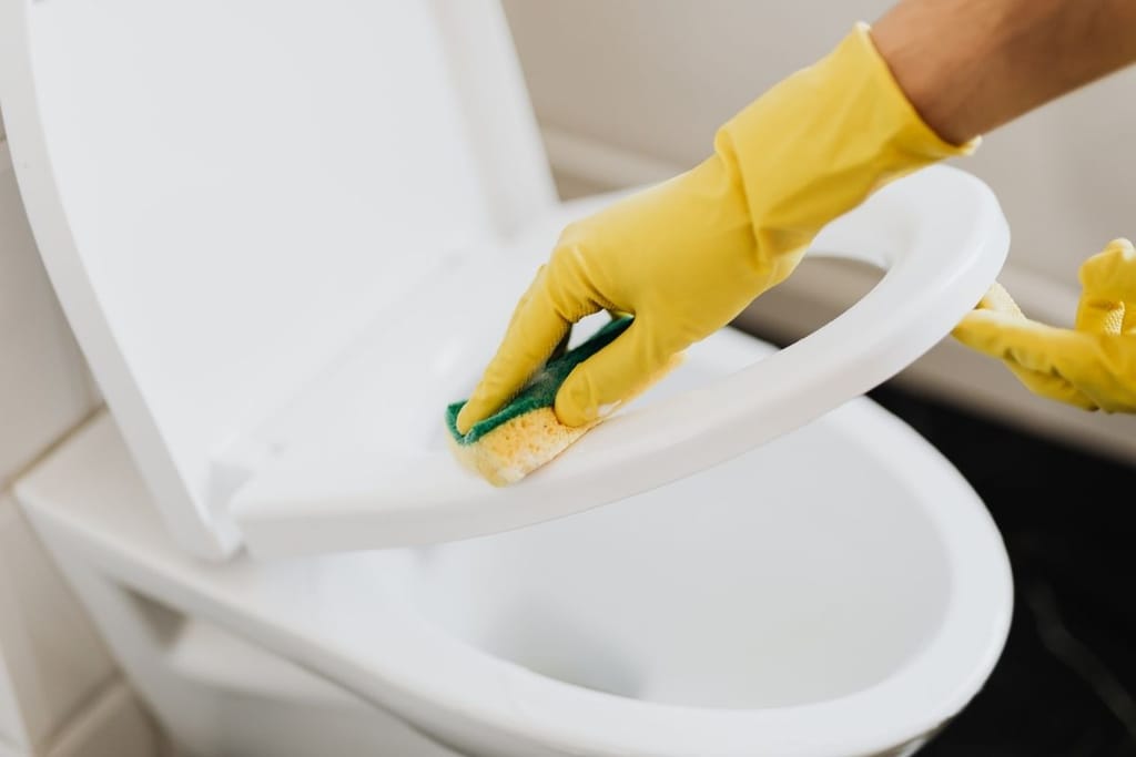 wc-pöntön puhdistus bakteerit koti hygienia suolistobakteerit leviaminen