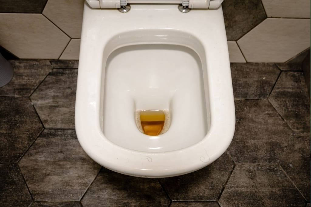 wc pönttö ilman kantta – huuhtelu levittää bakteereja ilmaan