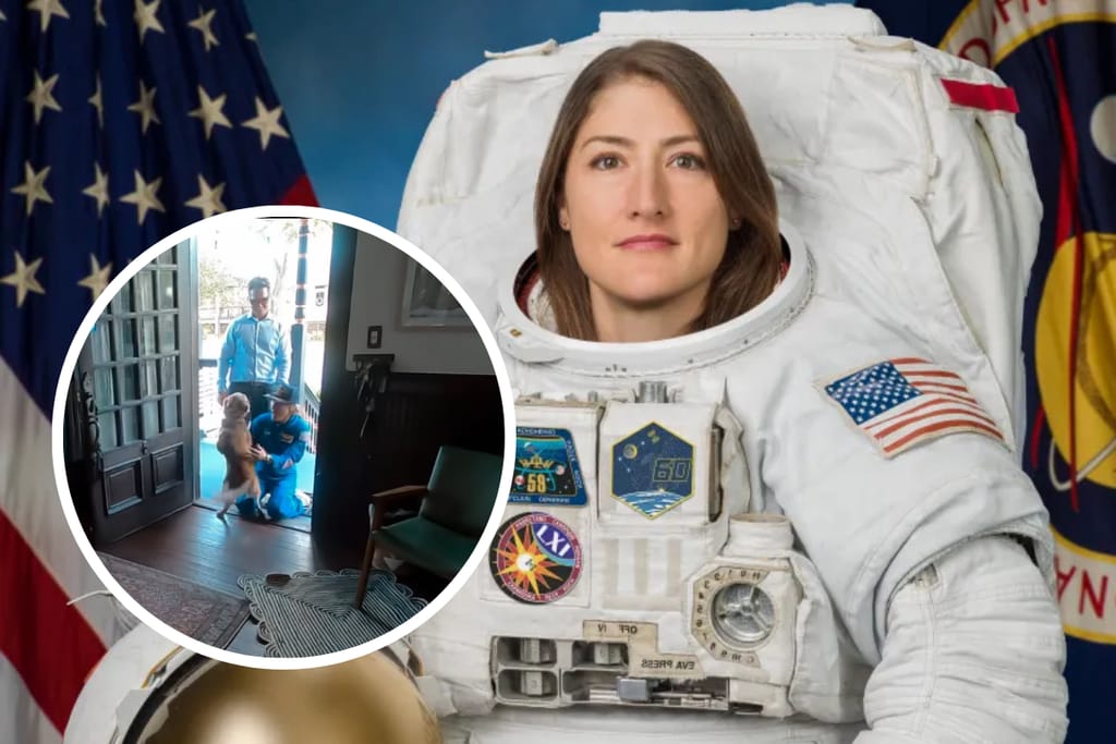 Taustalla Nasan astronautti ja edessä kuvakaappaus instagramista.