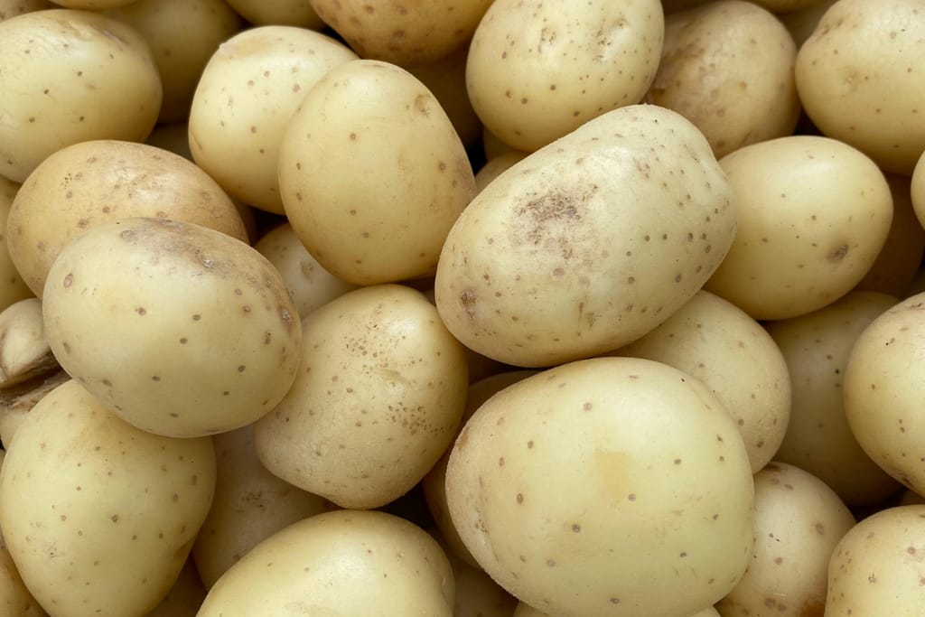 Kuorellisia perunoita kasassa.