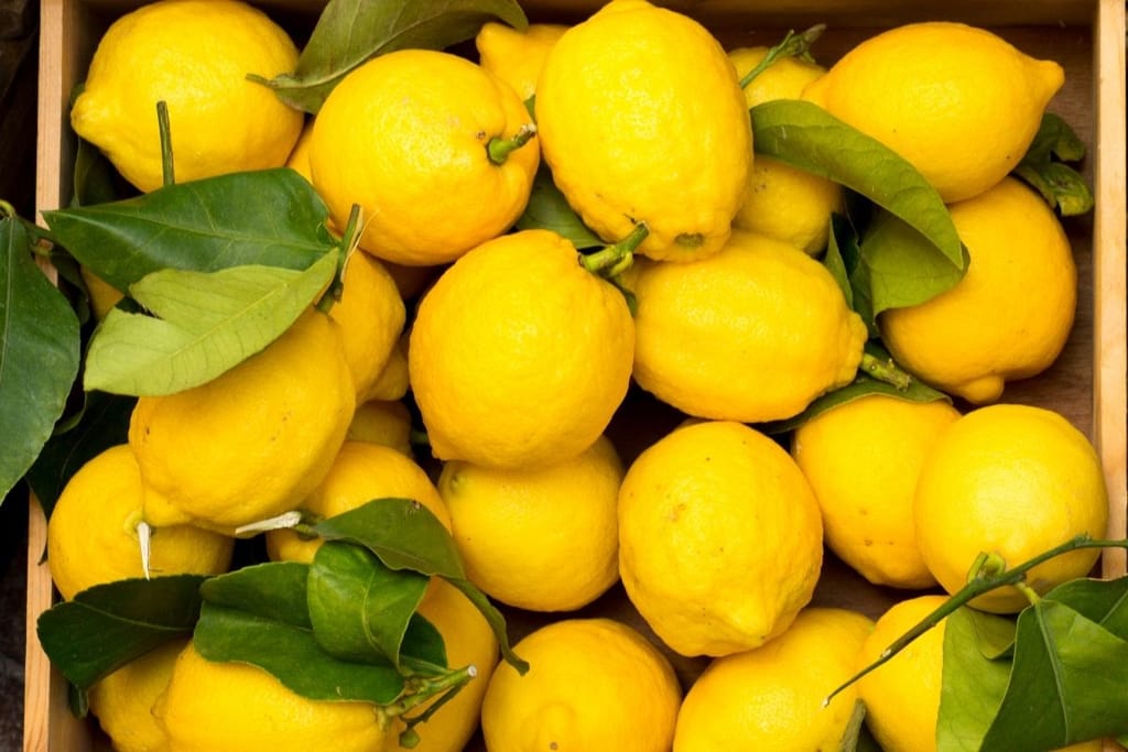 Tuoreet kirkkaankeltaiset sitruunat laatikossa – täydellinen raaka-aine uuni-sitruuna-risottoon