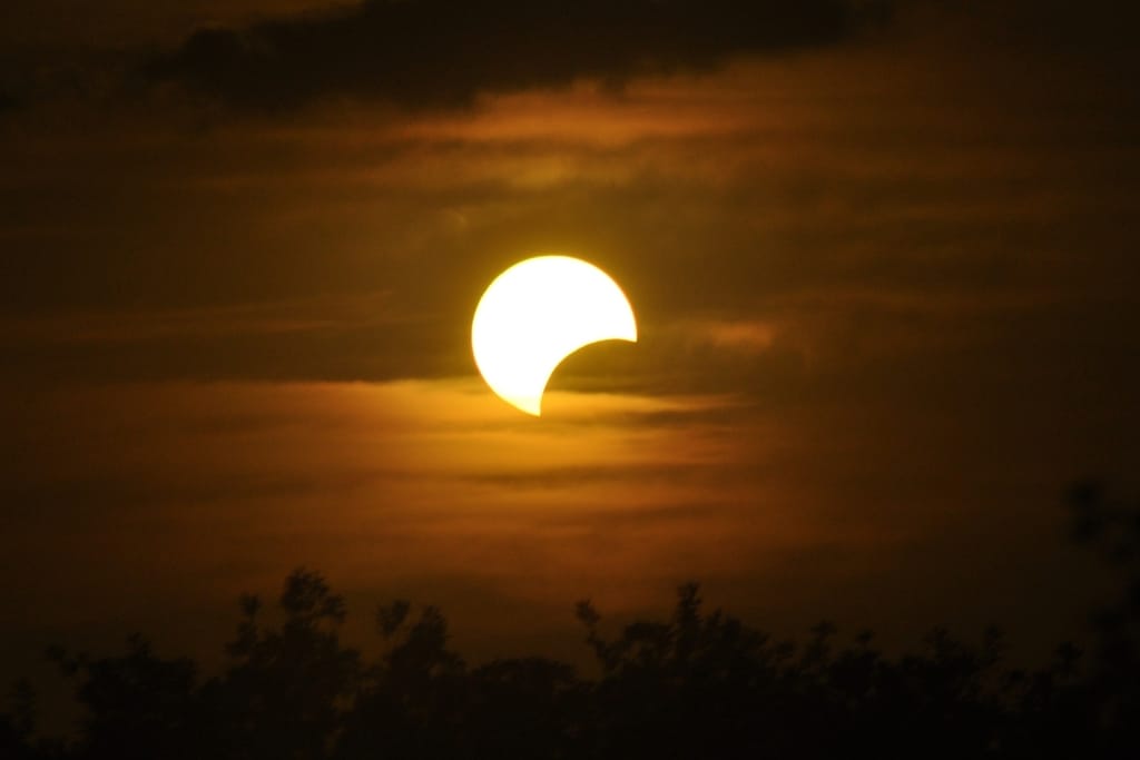 Matalalla horisontissa oleva osittainen auringonpimennys tummien puiden siluetin yläpuolella.