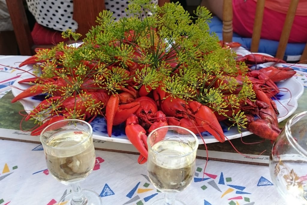 Rapujuhlapöydässä on suuri vadillinen punaisia rapuja, tilliä ja juomalaseja.