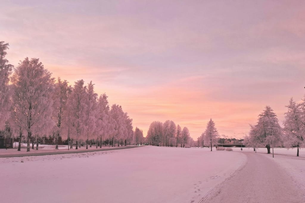 Lumiset puut reunustavat talvista maisemaa vaaleanpunaisen aamutaivaan alla.