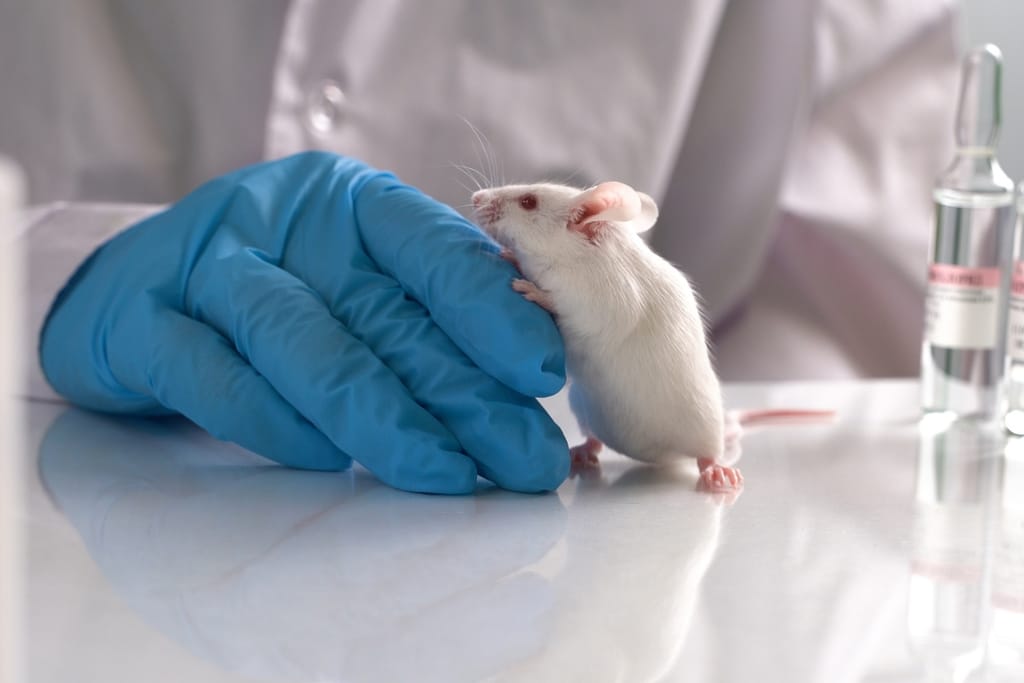 Valkoinen laboratoriohiiri nojaa siniseen suojakäsineeseen tutkimuslaboratoriossa. Taustalla näkyy tutkija ja laboratoriovälineitä.