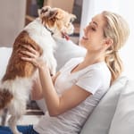 Nuori nainen istuu sohvalla ja nostaa pientä koiraa vastakkain kasvojensa tasolle. Molemmat katsovat toisiaan iloisesti, koiran kieli on ulkona ja tunnelma on leikkisä, lämmin ja kiintymyksellinen.