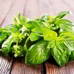 Nippu yrttejä, kuten basilikaa, pöydällä.