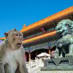 Apina ja pronssinen leijonapatsas Kielletyssä kaupungissa Pekingissä