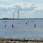 Ihmisiä uimassa matalalla hiekkarannalla aurinkoisena kesäpäivänä, taustalla tuulivoimaloita ja kumpupilviä.