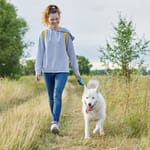 Hymyilevä nuori nainen kävelee valkoisen huskyn kanssa niityllä — liikunta parantaa luovuutta tutkitusti