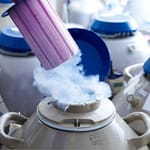 Laboratorion kryosäiliö ja nestetyppihöyryä munasolujen pakastuksessa.