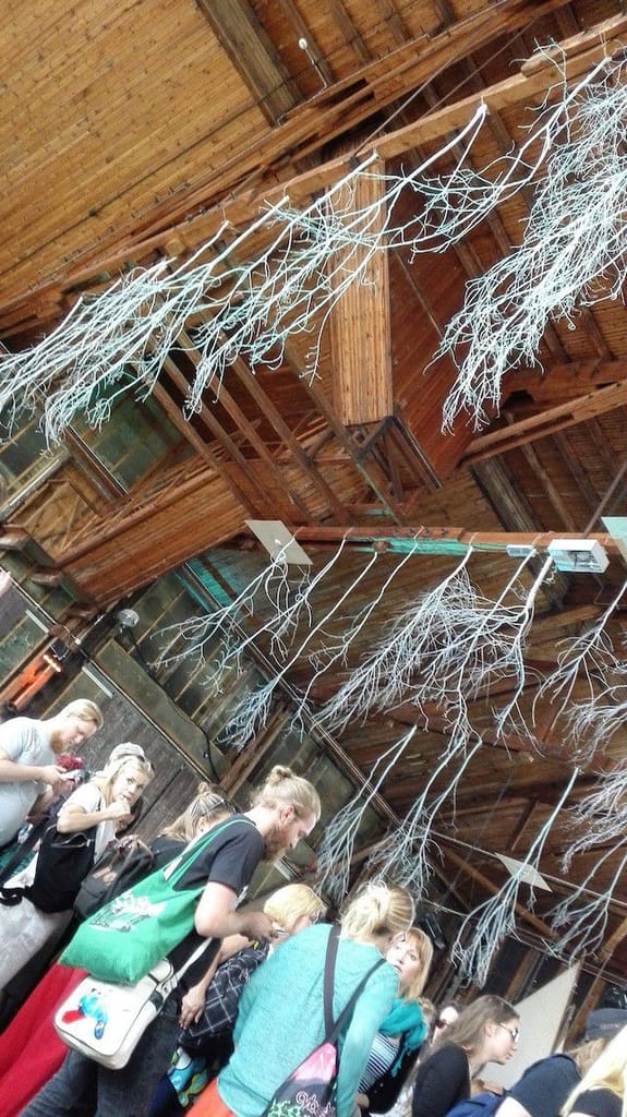 Naava kasvaa katosta.